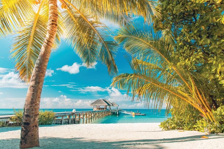 a beach with palm trees and a pier
